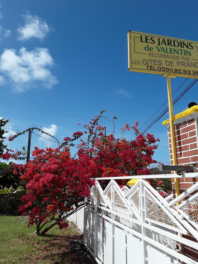 Ferienwohnung Les Jardins De Valentin Le Gosier  Exterior foto